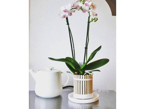 popsicle pot orchid planter outdoor & garden design diy flower flowerpot indoor interior orichalcum plant popcicle 3d print model - Mito3D