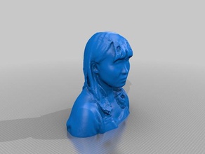 yun's head 3d printing scan yun 3d print model - Mito3D