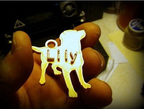 lily etiqueta de identificação chaveiros personalizado tag cão chaveiro 3d print model - Mito3D
