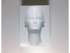 optical illusion - head block art bust ilusion optica 3d print model - Mito3D