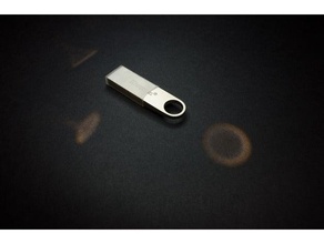 bolsa protetora kingston dtse9 chave usb recipientes pendrive 3d print model - Mito3D