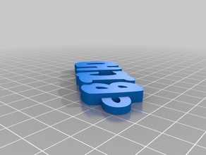 bicho llaveros personalizado 3d print model - Mito3D