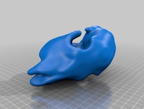 deer skull scan biology 3d animal head 3d print model - Mito3D