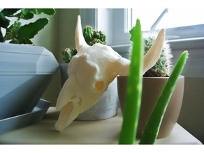 buffalo skull large sculptures 3d print model - Mito3D