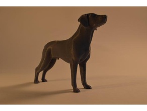 perro a los animales 3d print model - Mito3D