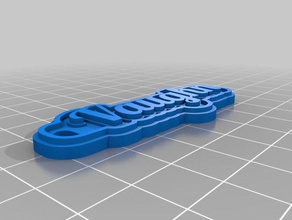 vaughn keychains customized 3d print model - Mito3D