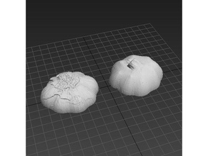 life size garlic food & drink 3d print model - Mito3D