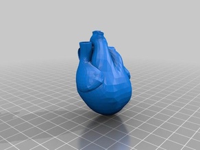 insan kalbi biyoloji anatomi kalp tıbbi 3d print model - Mito3D