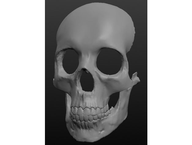skull mask costume human 3D print model - Mito3D