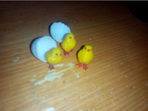 chick Spielzeug & Spiele gebrochene ei egg shell 3d print model - Mito3D