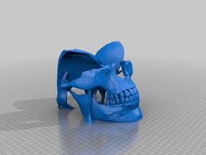 skull mask fixed 5 min tinkercad edit costume 3d print model - Mito3D
