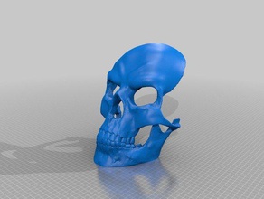 male maschera di teschio non supporta il costume costumechallenge2017 cranio umano umana, skeletor 3d print model - Mito3D