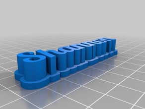 meu personalizada 3d shannon chapa 2 esculturas personalizado 3d print model - Mito3D