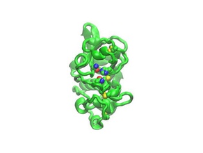 actinidin biology enzyme molecular model molecule peptidase protein data bank 3d print model - Mito3D