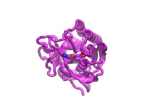 subtilisin biology molecular model molecule peptidase protein databank 3d print model - Mito3D