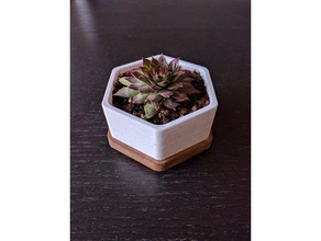 hexagonal planter small outdoor & garden gardening planters pot pots succulent 3d print model - Mito3D