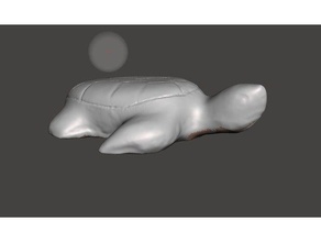 Kuba Schildkröte scans & Replikate Tier 3d print model - Mito3D