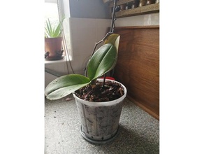 17cm pot orchid outdoor & garden plant pots 3d print model - Mito3D