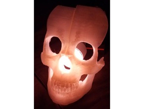 3d printed skull mask costume human 3d print model - Mito3D