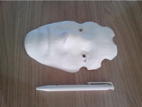 veneziana maschera di scansione il costume 3d print model - Mito3D