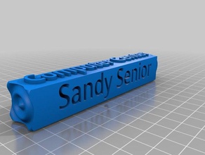 sandy sênior do centro de informática A impressão 3d 3d print model - Mito3D