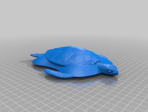 fastest turtle you'll ever meet teal sport custom top r c vehicles tealdronechallenge 3d print model - Mito3D