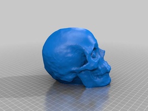 photogrammetry created skull - openmvg openmvs meshlab meshmixer 3d print model - Mito3D