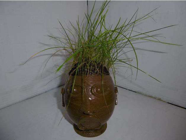 mr herbe señor de la hierba las esculturas cabeza 3D print model - Mito3D