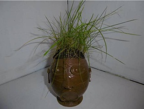 mr herbe mister grass sculptures head 3d print model - Mito3D
