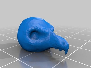 pássaro do crânio A impressão 3d 1º projeto animais de pequena 3d print model - Mito3D