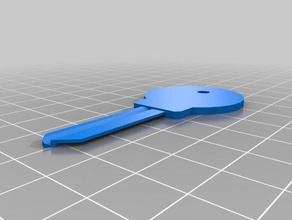 clave schlage de los hogares personalizado 3d print model - Mito3D