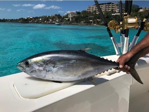 cedar plug fishing lure saltwater sport & outdoors bonito deep sea fish lures jig trolling tuna 3d print model - Mito3D