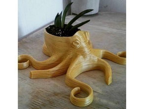 pulpo maceta La impresión en 3d 3dprintable 3dprinting adorno decoracion de la decoración escritorio el planta olla mar tentáculo tentaculos 3d print model - Mito3D