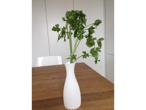geschweifte vase Dekor Blumen-vase spiral 3d print model - Mito3D