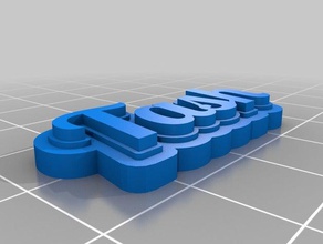 tash llavero llaveros personalizado 3d print model - Mito3D