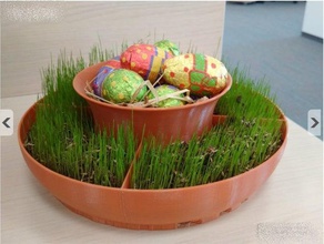 easter decoration pot decor egg flower grass 3d print model - Mito3D