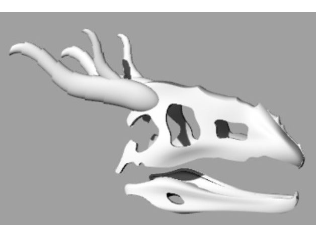 dragon skull Skulpturen 3D print model - Mito3D