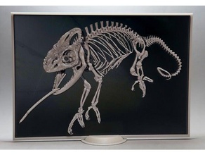camaleón 3d art 3dlito camaleon cuadro dibujo3d esqueleto marco el alivio aliviar soporte 3d print model - Mito3D
