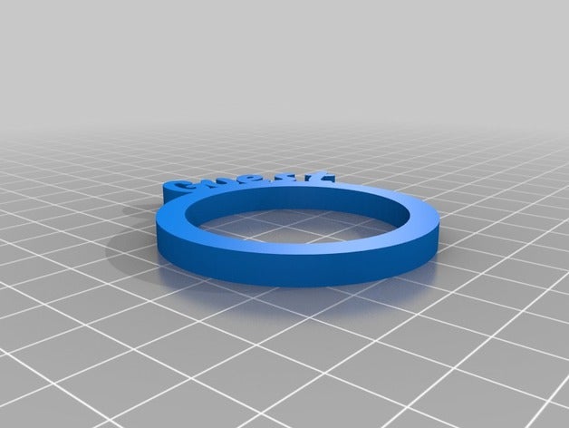 il mio personalizzato tovagliolo anelli - ospite cucina & sala da pranzo su misura 3D print model - Mito3D