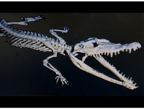 crocodylus 3d a arte 3dlito cocodrilo legal crocodilo crocodilos dibujo3d esqueleto fosil fósseis lithophane litofania niloticus socorro aliviar 3d print model - Mito3D