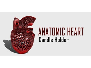 anatomic heart candle holder household 3d printer design gift human organic unique valentine 3d print model - Mito3D