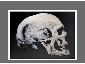 crâne en 3d 2d art 3dlito calavera craneo dibujo3d fosil cadre image un soulagement soulager le 3d print model - Mito3D