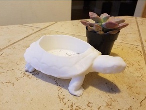tortuga maceta al aire libre y jardín de flores los plantadores la olla 3d print model - Mito3D