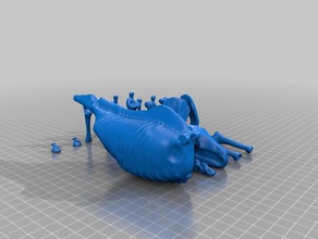 cavallo scheletro le creature 3d print model - Mito3D