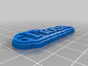 minha personalizado de várias linhas tag chaveiro fiona chaveiros 3d print model - Mito3D