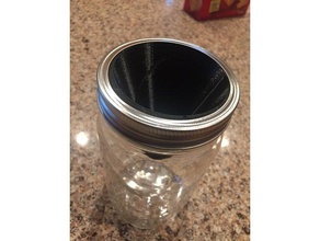gnat funnel household ball jar fruit flies 3d print model - Mito3D