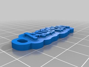 austin Schlüsselanhänger kundengebundene 3d print model - Mito3D
