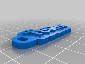 foster keychain keychains customized 3d print model - Mito3D