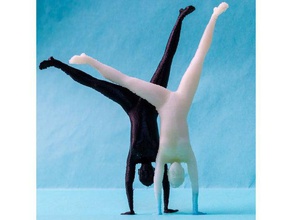 weiblich-gymnastik - Rad Menschen gymnastik Unterstützung 3d print model - Mito3D