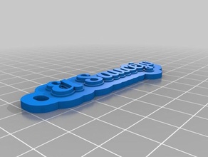 el saucejo Schlüsselanhänger kundengebundene 3d print model - Mito3D